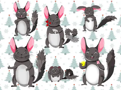 Chinchilla Shusha emoji stickers chinchilla decor