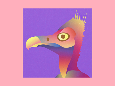 Vulture profile pic animals birds colors graphic design graphism illustration illustrator logo logotype profile pic profile picture social medias vulture