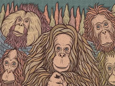 Monkey family animals drawing family family portrait family tree monkey monkey island monkey king monkey logo monkeys oil painting painting photographer photography portrait art portrait illustration