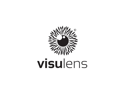 Optometrist logo branding corporate identity eye logo graphic design illustration logo logo design optometrist logo pupil visual