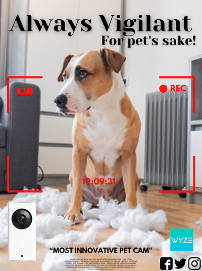Wyze Cam Pan ad #1 aspect branding illustration logo pets poster print