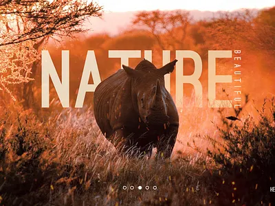 WebUI Nature design ui