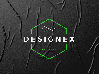 Designx logo branding illustrator logo typography vector