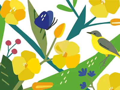 Illustrations for Rapsodia oil 2dillustration bird brand butterfly field flowers forest illustraion leaf nature oil packaging plant