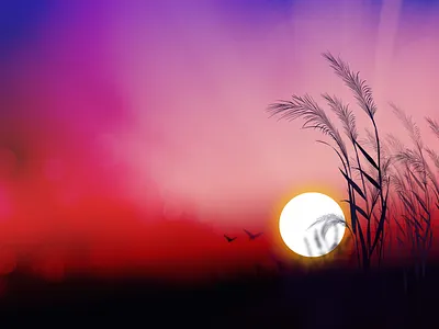 Sunset 2d amazing design gradients illustration imagination light nature peace sun sunset time vector