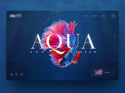 Aquazoo Website animal blue dark design fish glass interface museum siamese ui ui design uidesign underwater ux water web website zoo