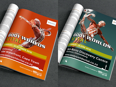 Body Worlds Vital Exhibition art direction exhibition indoor outdoor print design