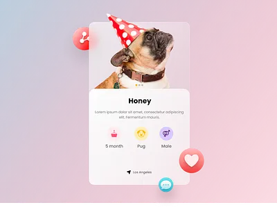 Animal Profile Card 2021 trend animal card design dog figma figmadesign glassmorphism profile profile card profile design ui ux