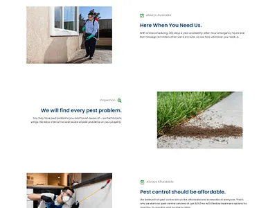Basic Web Design for Pest Control Service cleaning service colorful design design home service pest control ui web design wordpress