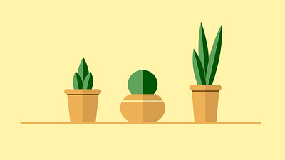 Flower cactus flower plant