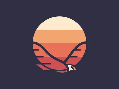 Soaring in the Sunset bald eagle bird eagle soaring sunset