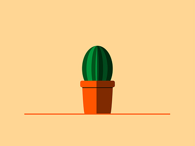 cactus cactus flower plant
