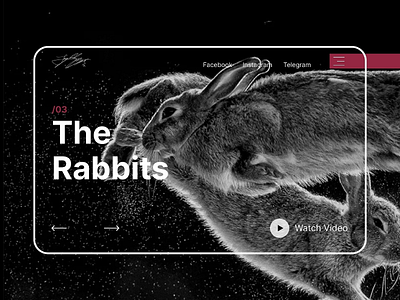 Rabbit Landing Page design landing rabbit ui ux web web design web page