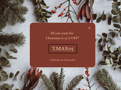 Daily UI 016 - Pop-Up christmas coupon dailyui dailyui016 dailyuichallenge discount discount code overlay popup uidesign uxdesign valid