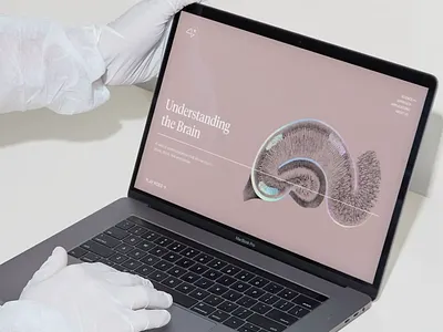 Neuralink - Website brain branding color design healthtech identity illustration link logo medical san francisco science technology typography ui ux web webdesign website