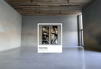 Pantone photography photoshop