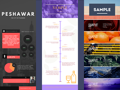 INFOGRAPHICS 01 animation app branding design illustration infographic infographics infographics design logo typography ui ux vector