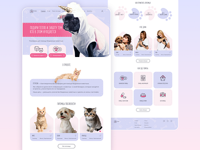 Website for pet adoption adopt cat design dog pet ui ux web