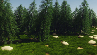 Forester cinema 4d forester