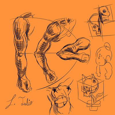 Just a sketch adobe illustrator anatomy digital illustration learning practice sketch test vector