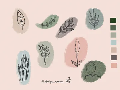 Botanical flat illustration art botanical botanical art botanical illustration design digital painting digital2d flat illustration flatdesign illustration line art minimalistic procreate art