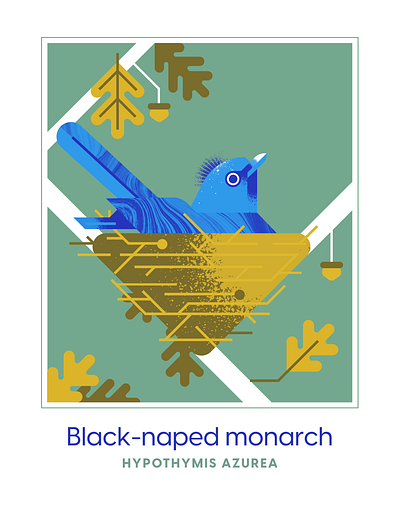 black-naped monarch acron bird blue design geometric illustration oak texture vector