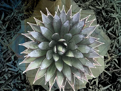 Nature on Top black photography vector vector art