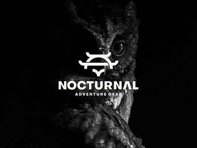 Nocturnal - Adventure Gear adventure branding character design fashion gear icon logo nocturnal owl owllogo symbol vector