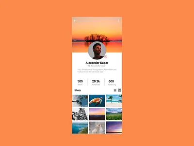 User Profile Design design figma figma design figmadesign icon images mobile mobile app mobile app design mobile ui mobile ui design photographer photography photos typography ui user profile user profile design ux