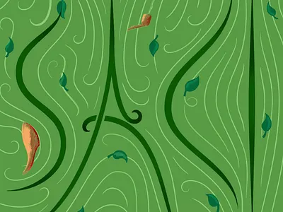 Saci brazil lettering personal