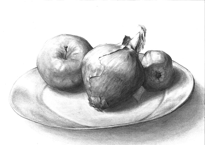 still life drawing charcoal drawing stilllife