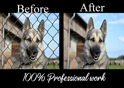 01 dog branding design fiverr graphics design illustration logo oil painting photo photo edit photo retouching photoshop poster vector