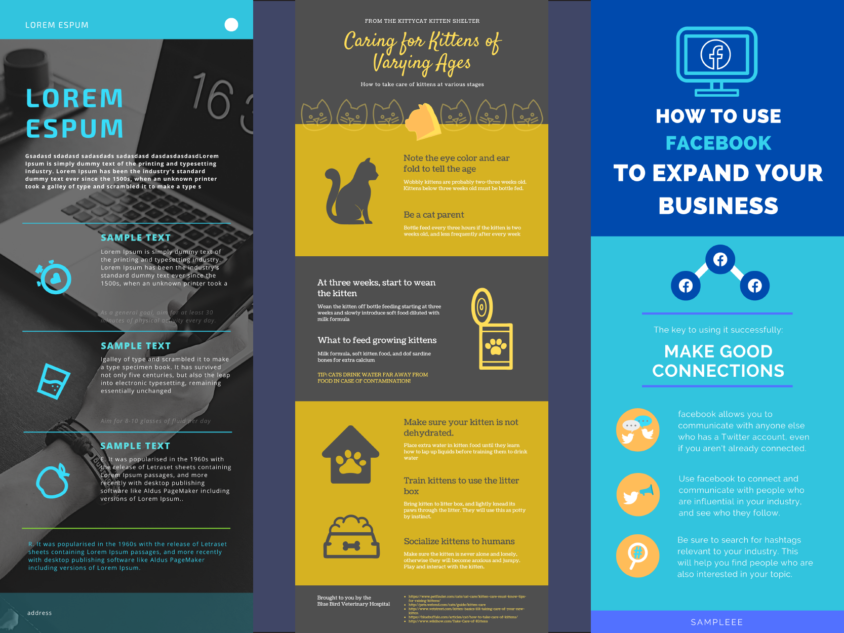 Example of INFOGRAPHICS Templates