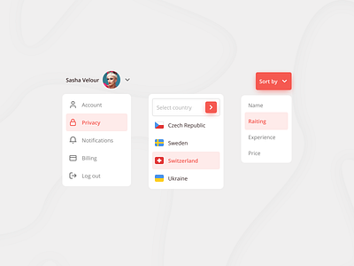 Dropdown | DailyUI | 027 account account settings billing countryside dailyui design dropdown flags icons log out notification privacy raiting search sort sort by sorting ui user interface