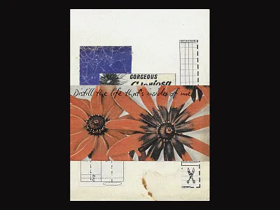 072 / Distill the life that's inside of me... clean commercial daily design dynamic editorial editorial layout poster poster a day posteraday