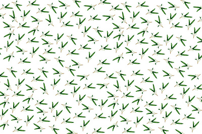 Pattern Bamboo bamboo design pattern pattern design patterns