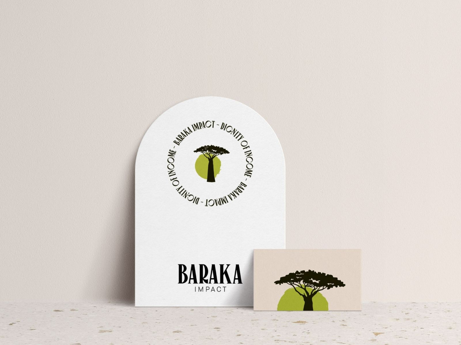 Example of Print Collateral for Baraka Impact