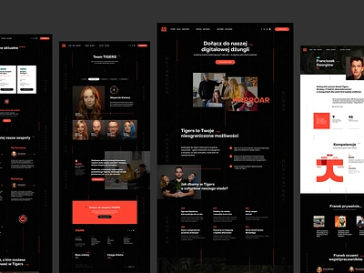 TIGERS.pl 🐯 dark darktheme landingpage marketing minimalistic poland rebranding socialmedia ui ux web webanimation webdesign webdesigner website wordpress