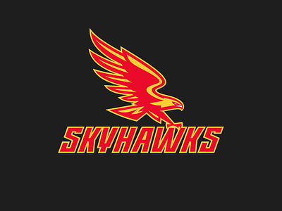 Skyhawks Concept art bird logo eagle logo graphic maniac hawk logo illustration logo logo for sale skayhawks skyhawks logo sport sports branding sports design sports logo