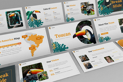 Toucan – Tropical Presentation Template abstract animal business presentation creative exotic forest jungle keynote template leaf lookbook minimal pitchdeck powerpoint template presentation proposal summer tropic tropical wildlife zoo