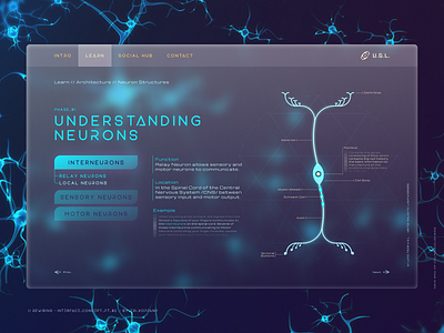 Rewiring - Interface Concept // pt. 2. consciousness design evolution futuristic futuristic ui galactic glassmorphism hightech illustration interface neuroscience screen transparent ui vector web web design website