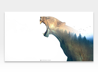 Wildlife design design art graphics image manipulation photo manipulation photoshop