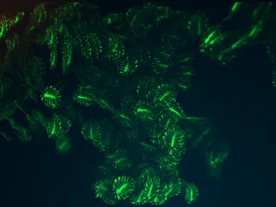 particles 3d test 3d 3d artist abstract particles