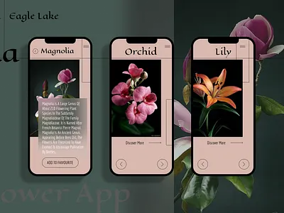 Florence app app darkgreen design figma flat flower green mobile mobile app ui