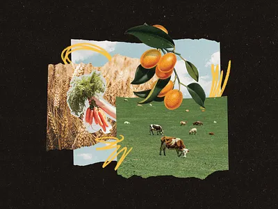 Regenerative Farming Collage analog carrots chicken climate climate change collage cow farm grain illustration optimism pastoral regenerative farming school terra.do wheat