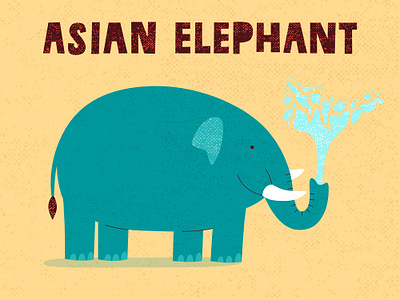 Asian elephant animal asian asian elephant cute elephant illustration mammal minimal thailand trunk water wildlife