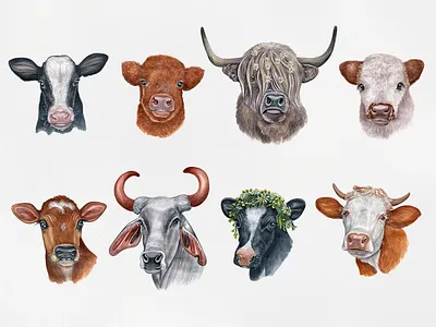 Cows animal cow cute draw drawing funny illustration pet pets watercolor watercolor art