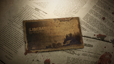 LIBERATION - Background server DAYZ background dayz design illustration liberation server