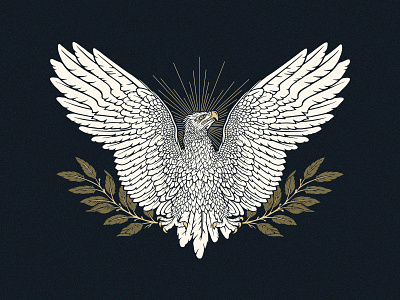 Equality america eagle equality illustration procreate wings