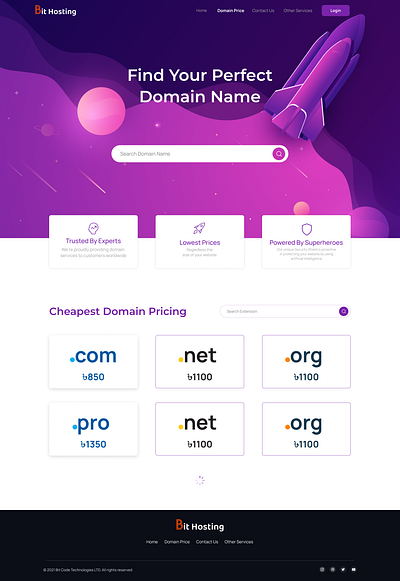 Bit Hosting Domain Page design banner bit apps bit code domain page design domain search hosting hosting page design illustration ui web page design website design
